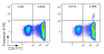 Pro5Â® Pentamer staining of live lymphocytes