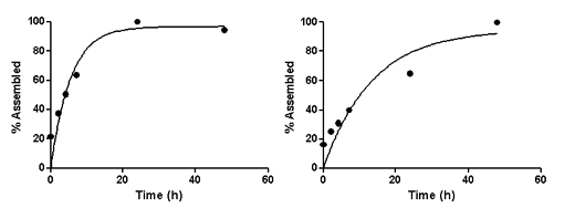 Comparison of on-rates of test and intermediate control peptides