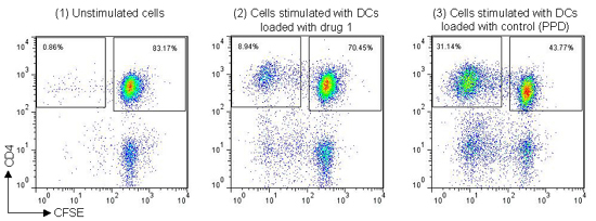 Example staining data from DC-T cell proliferation assay